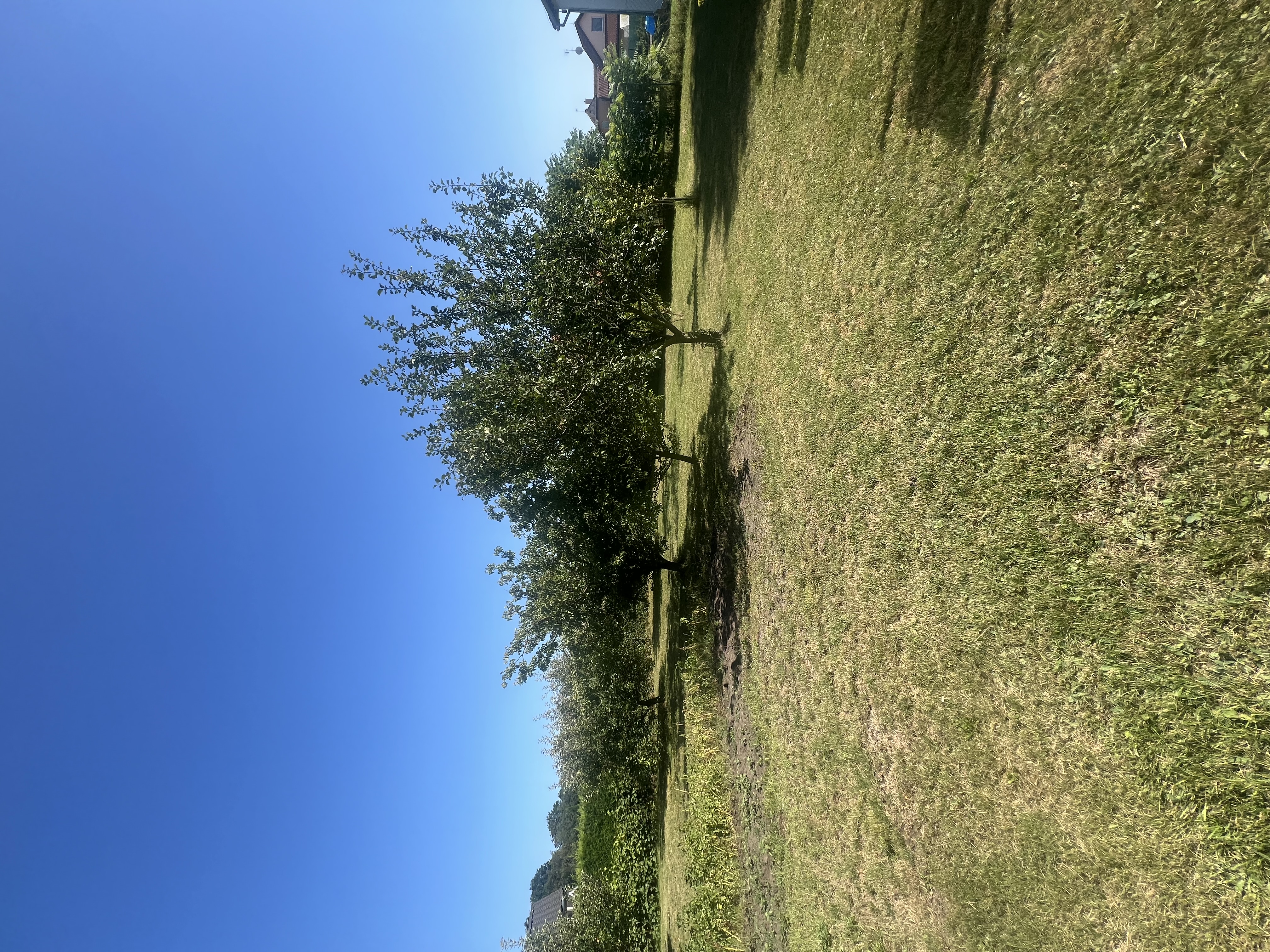 Oceněný stavební pozemek